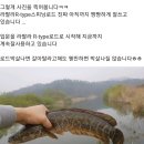 대초천 이미지