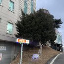 별동별