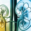 365류내과의원 이미지