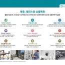 에스티하우스