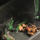 숲속애바다실내낚시터 | 용인 데이트 실내바다낚시터 내돈내산 다녀온 찐 후기