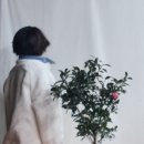 사잔카 이미지