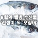 9월의 웰빙 수산물 ? 전갱이와 오징어 이미지