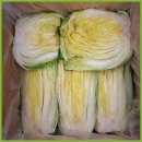 해남목장 이미지