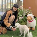 스타일펫 | 엠씨엠 펫 파라다이스 후기 MCM AW25 자켓 퍼스널컬러 진단