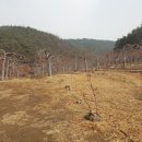 혜영농장 이미지