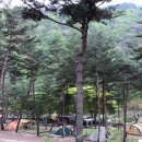 리버힐즈 캠핑장