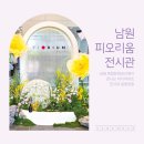 함파우길 | 전북 남원 복합문화공간 피오리움 미디어아트 아이와 가볼만한곳