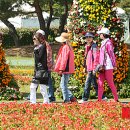 장미의거리10 이미지