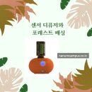 브로칸트 하우스 이미지