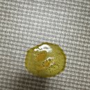 평촌나무동물병원 이미지