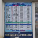 남산안경콘택트 | 구리 인창동 레인 안경(성인 및 학생 가성비 안경점)