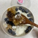 카페 저당 아이스크림 맛집 요아정 송산그린시티점 포장 후기 (블루베리 벌꿀 그래놀라 저당요거트 조합...