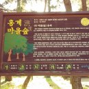 대송면 홍계숲 이미지