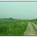 비봉인공습지 축구장 이미지