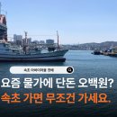 단돈 500원? 속초 아바이마을 갯배 주차 꿀팁 및 타기 체험 후기 (가을동화 촬영지)