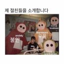 모모스테이크상남점 | 20241223 ~ 1229 : 연말에 입터진 주간