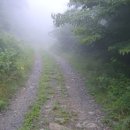 성암목장 이미지