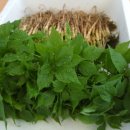 삼싹농장 이미지