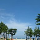 해신 | 양양 낙산해수욕장 물회 맛집 낙산해신물회 후기