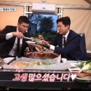 베스트애견 이미지