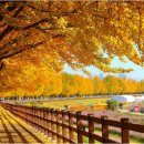 (주)은행나무 이미지