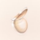 렌즈모아 이미지