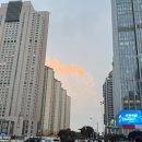 영천역 택시승강장 앞 광장 | [중국여행] 칭다오 ① : 산동항공/이하이 가든 호텔/루위/헤이티/5.4광장