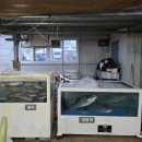 강구회실비타운 이미지