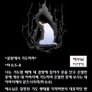 골방에서 Daum카페