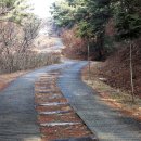 팔공산왕건길 5코스 이미지