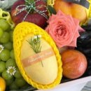 만월청과 이미지