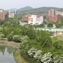 비파트너 이미지