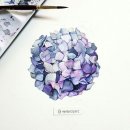 꽃그림 보타니컬아트 이미지