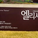 삼성개발