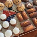 강화쑥쑥 2 이미지