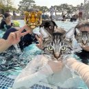 시형농장 이미지