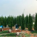 척과농장 이미지