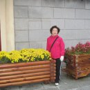 경기정보통신 이미지