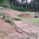 죽동할머니 이미지