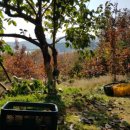 영대농장 이미지