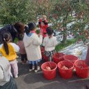 샘양지마을 이미지