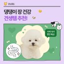 견생템 이미지