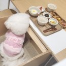 한류투어 이미지