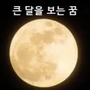 달꿈 이미지
