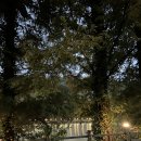 계룡시 두마면  입암길 143 | 계룡 고기 맛집 :) 마장동 아재네 정육식당 재방문 후기 !