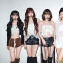 르세라핌 카카오 검색결과