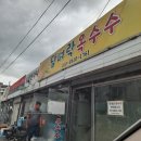 담벼락옥수수 이미지