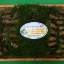 청우영농조합법인 이미지