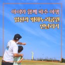 평화누리 통일기원 돌무지 | 파주 아이와 가볼만한곳 임진각 평화누리공원 바람의 언덕 연날리기